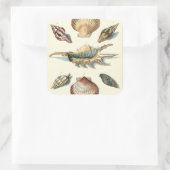Fancy Shell Beach Vierkante Sticker (Tas)
