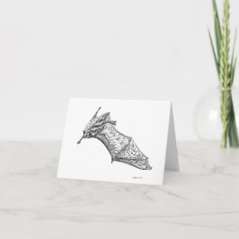 Fancy Vleermuizen: M. lucifugus vleugelspankaart Kaart