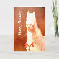 Fancy-witte Pony Vintage