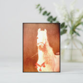 Fancy witte Pony zigeunerstijl Briefkaart (Staand voorkant)