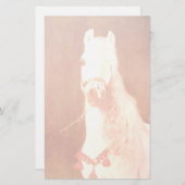 Fancy witte Pony  zigeunerstijl Briefpapier (Voorkant / Achterkant)