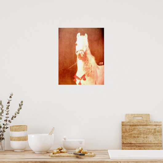 Fancy witte Pony  zigeunerstijl Poster (Keuken)