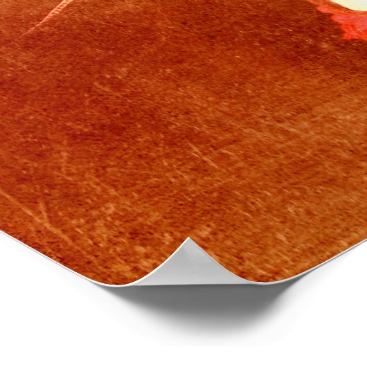 Fancy witte Pony  zigeunerstijl Poster (Hoek)