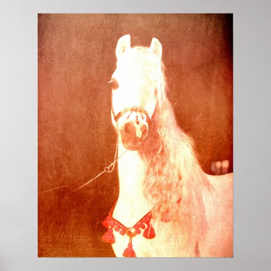 Fancy witte Pony  zigeunerstijl Poster (Voorkant)