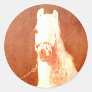 Fancy witte Pony  zigeunerstijl Ronde Sticker