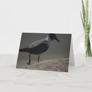 Fancy zeemeeuw notenkaart bedankkaart
