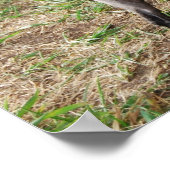 Fancy zwarte Speelgoed pooiejongen Poster (Hoek)