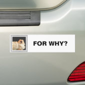 Fangsy bumper sticker #2 (Op auto)