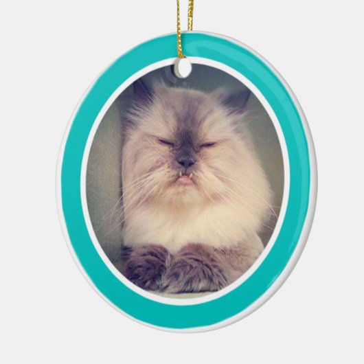 Fangsy sierplant keramisch ornament (Links)