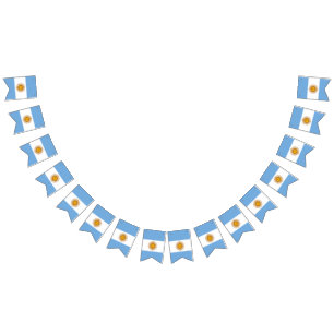 Fanion : Drapeau de l'Argentine