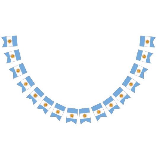 Fanion : Drapeau de l'Argentine (Tout)