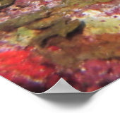 Fanned Out Fins Poster (Hoek)