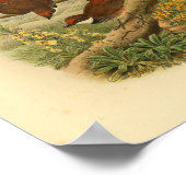 Fantail Flycatcher Bird Print (Hoek)