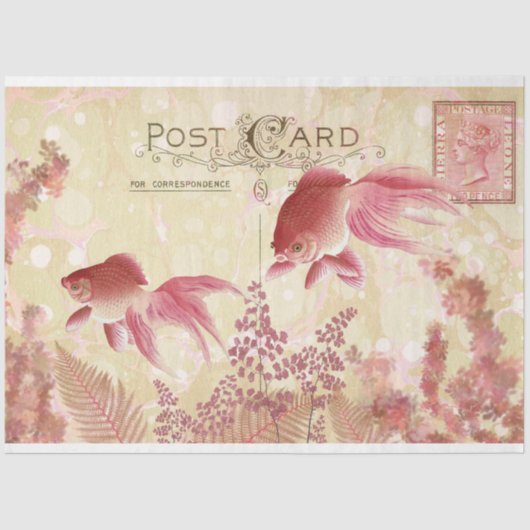 Fantail Goldfish Briefkaart Ephemera ontkoppeling  Tissuepapier (Voorkant)