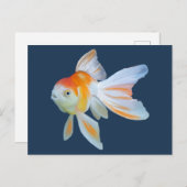 Fantail Goldfish Waterverf Briefkaart (Voorkant / Achterkant)