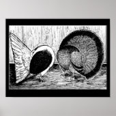 Fantail Pair Poster (Voorkant)