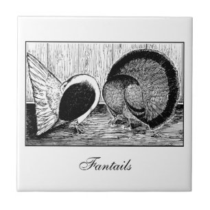 Fantail Pair Tegeltje