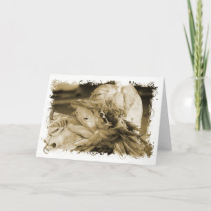 Fantail Pigeon Kaart