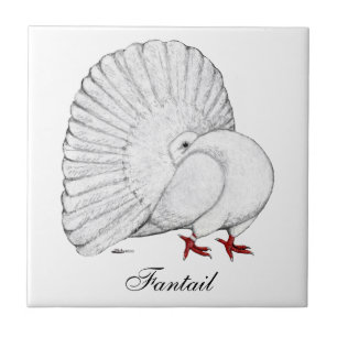 Fantail Pigeon White Tegeltje
