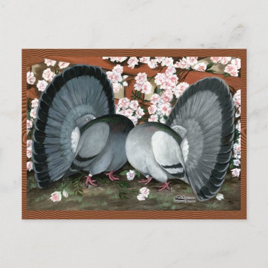 Fantail Pigeons Matched Pair Briefkaart (Voorkant)