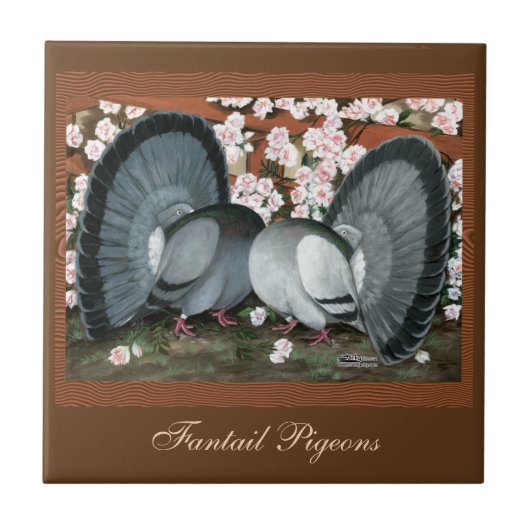 Fantail Pigeons Matched Pair Tegeltje (Voorkant)