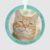 Fantaisie Chat Jaune Visite Père Noël Custom Chris (dos)