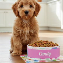 Fantasiebloemen Roze Blauw Paarse Keramische Pet B