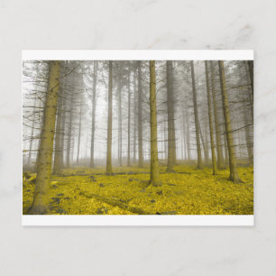 fantasiewoud met mist en gele bladeren briefkaart