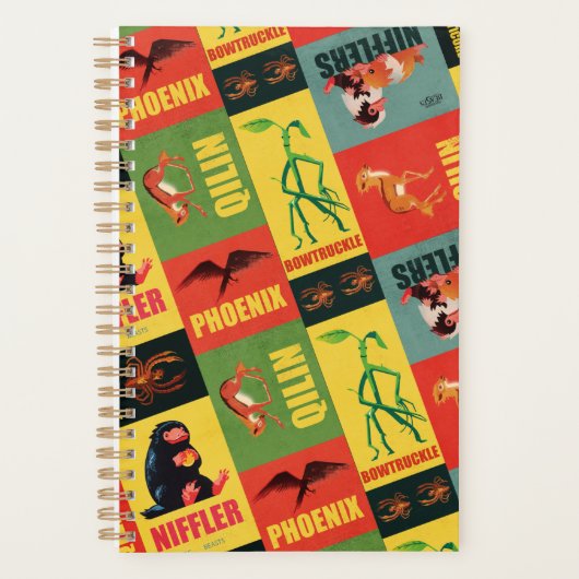 Fantastic Beasts Motif Vintage (Devant)