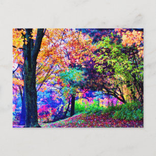 Fantastic Fall Colors Autumn Leaves Schilderachtig Briefkaart