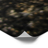 Fantastic Fuschia (3) Poster (Coin)