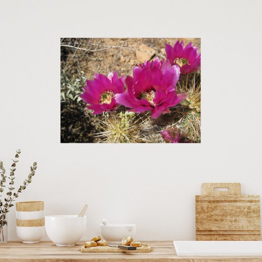 Fantastic Fuschia (3) Poster (Cuisine)