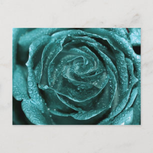 Fantastisch Blauwgroen Roos Briefkaart