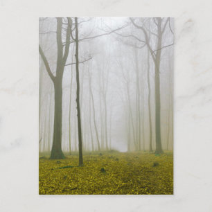 Fantastisch bos met mist en gele bladeren briefkaart