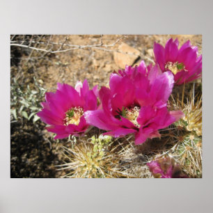 Fantastisch Fuschia (3) Poster