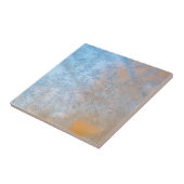 Fantastisch vorstpatroon, Wisconsin Tegeltje (Zijkant)