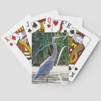 Fantastische blauw-herenkringloopkaarten