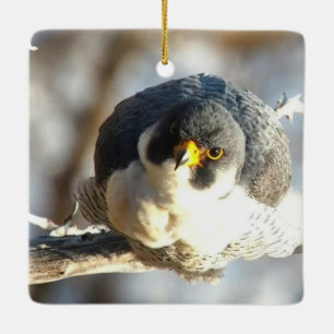 Fantastische blauwvintonijn: Newman Keramisch Ornament