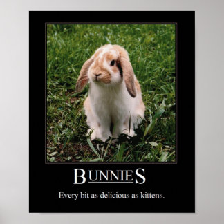 Fantastische Bunnies! Poster