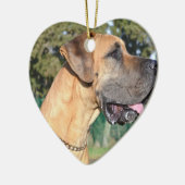 Fantastische Daanfotoversieringen Keramisch Ornament (Links)