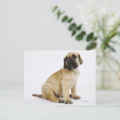 Fantastische krantenpup in Studio Briefkaart (Staand voorkant)