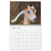 Fantastische landbouwhuisdieren kalender (Feb 2026)