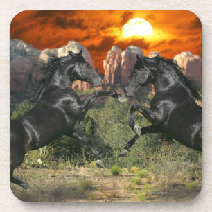 Fantastische paarden: Black Magic Drankjes Onderzetter