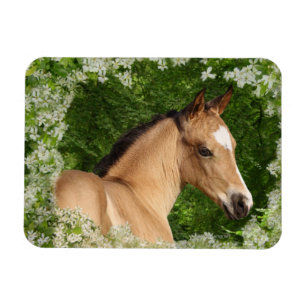 Fantastische paarden: Bloemen Magneet