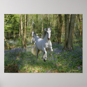 Fantastische paarden: Bluebell Wood Poster