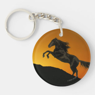 Fantastische paarden: Mountain Sunset Sleutelhanger