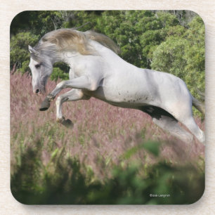 Fantastische paarden: Spring Gallop Onderzetter