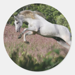 Fantastische paarden: Spring Gallop Ronde Sticker