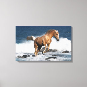 Fantastische paarden: Summer Splash Canvas Afdruk