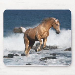 Fantastische paarden: Summer Splash Muismat